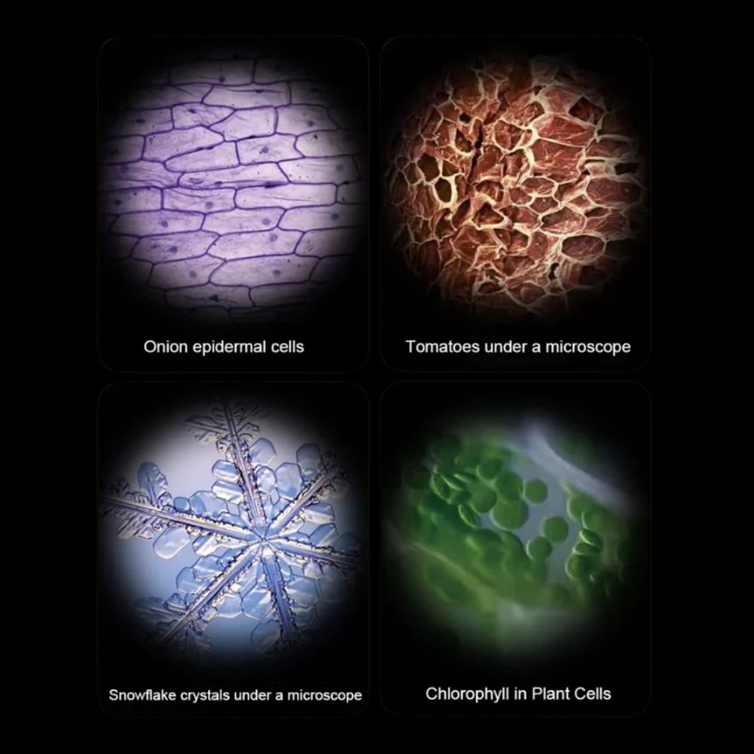 ExplorerScope – Kids pocket microscope